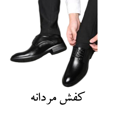 کفش مردانه